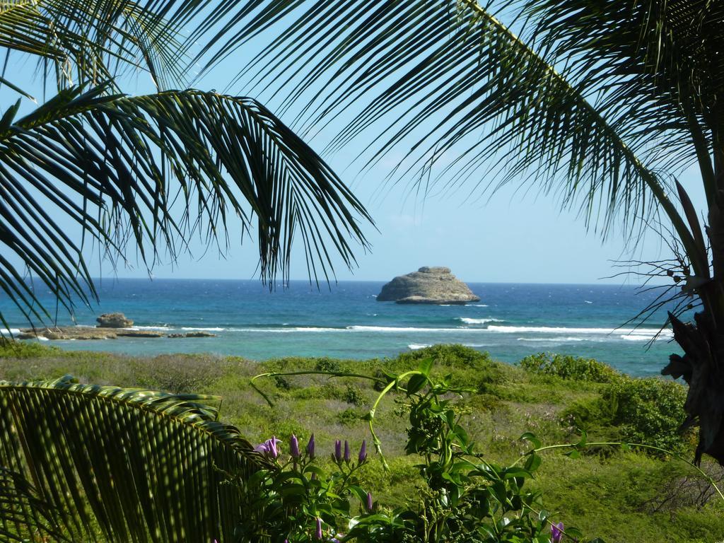 Tarare Saint-Francois (Grande-Terre)